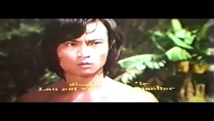 Wu Tang Collection - Snake Shadow Lama Fist part 2/2