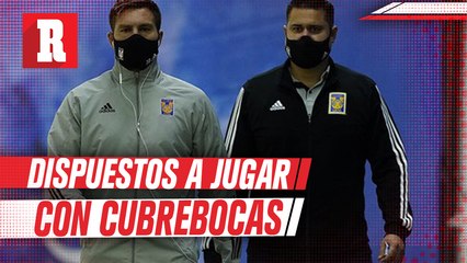 Inge Rodríguez aseguró que los felinos estarían dispuestos a jugar con cubrebocas