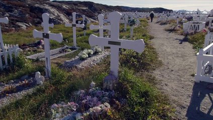 Meltdown movie (2021) - Lynn Davis, Tony Leiserowitz