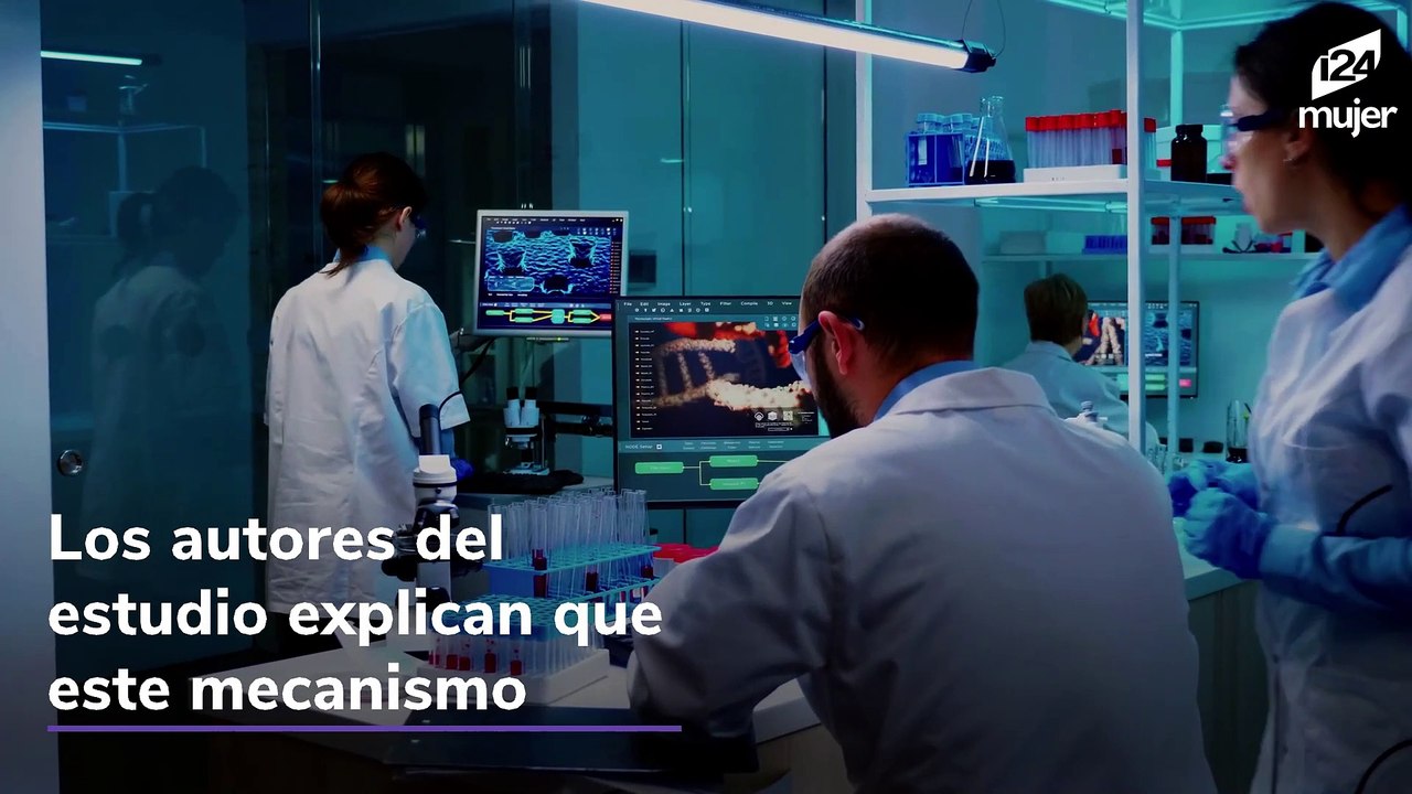 Estudio de Harvard confirma que el estrés produce canas