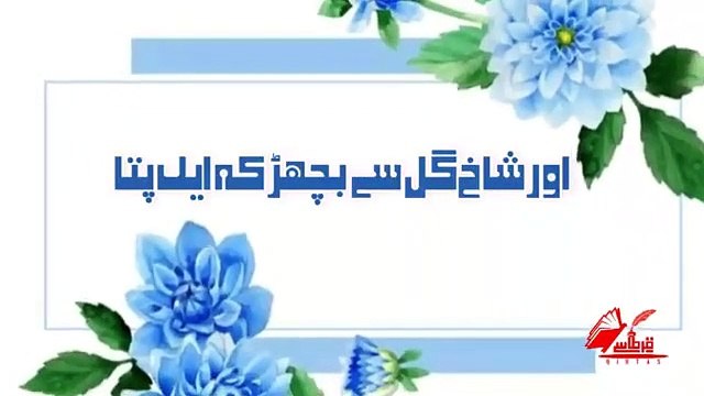 Esa mehsoos hota hai mujea