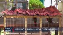 15 Burung Nuri Kepala Hitam Hasil Sitaan Diterima BKSDA Kalbar