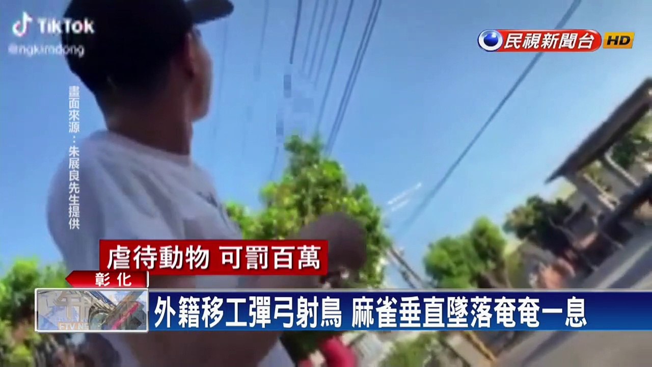 外籍移工彈弓射野鳥PO網 農業處:最高可罰60萬