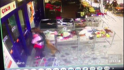 Pitbull çocuğa saldırdı, korku dolu anlar güvenlik kamerasına yansıdı
