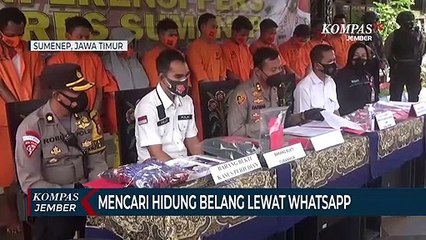 Cerai dengan Suami, Istri Jadi Mucikari untuk Menghidupi Anak