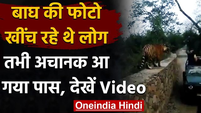 Viral Video: Jungle Safari के दौरान Tiger आया Tourists के इतने करीब, आगे हुआ ये । वनइंडिया हिंदी