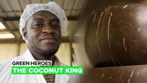 Green heroes: All about coconuts