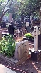 Sewri Christian Cemetery