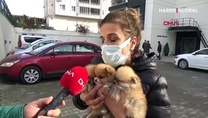 Yeter artık... Edirne'de isyan ettiren olay!