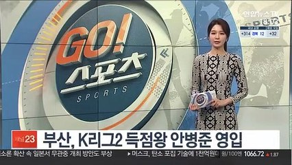 부산, K리그2 득점왕 안병준 영입