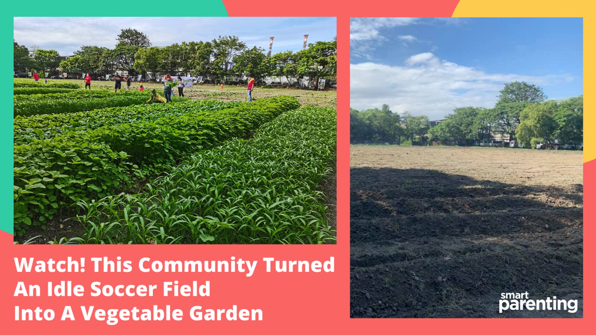 ⁣This Idle Soccer Field Got Converted Into A Vegetable Garden