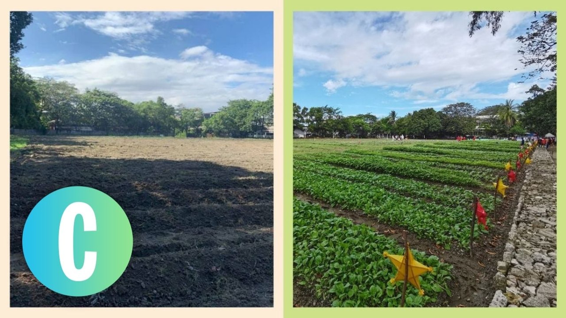 This Football Field In Manila Is Now A Beautiful Urban Garden