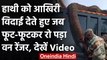 Viral Video: हाथी की हुई मौत तो ऐसे फूट-फूटकर रोया Forest Ranger, देखें Viral Video । वनइंडिया हिंदी