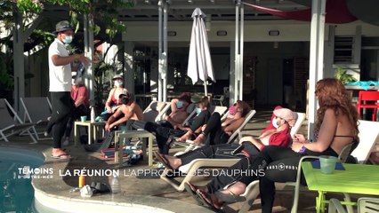 La Réunion - L'approche des dauphins