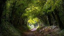beautiful nature in the world_43