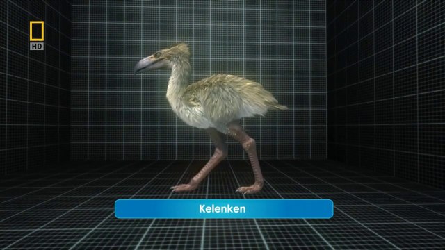 Depredadores Prehistóricos: Las Aves del Terror [Documental HD]