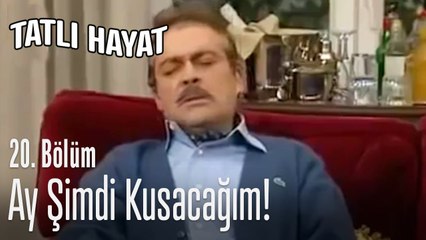 İhsan, Menekşe'nin bebeklik fotoğraflarına bakıyor - Tatlı Hayat 20. Bölüm