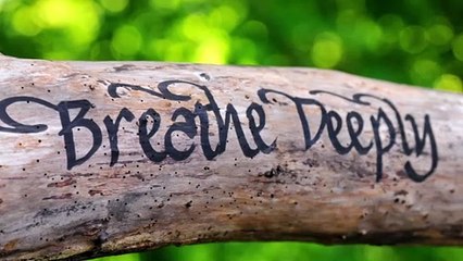 Artist Brian Whitmore has been doing Wild Calligraphy in Wigan parks