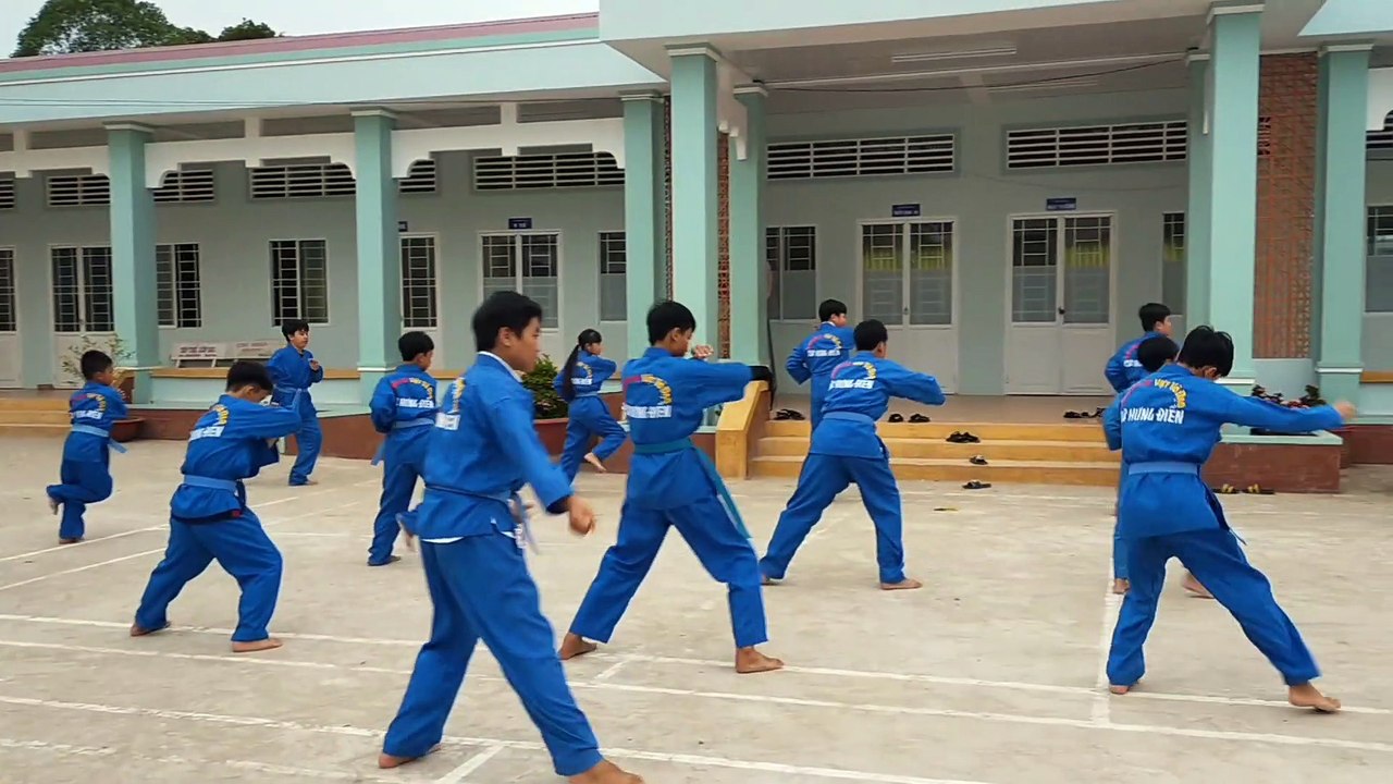 Vô vinam Việt Võ Đạo