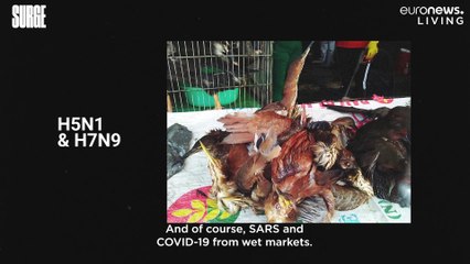 Earthling Ed: How can you prevent future pandemics? Go vegan