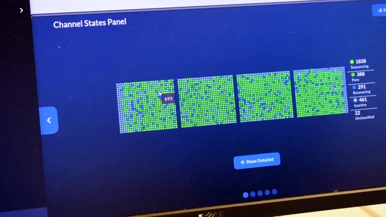 Island hat die Corona-Mutanten am besten im Blick