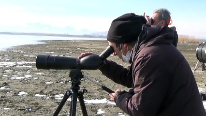 Göller bölgesinde su kuşu sayımına başlandı