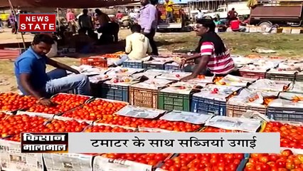 टमाटर से किसान मालामाल, प्रशासन की पहल से किसानों को हुआ फायदा | Latest News | News State MP CG
