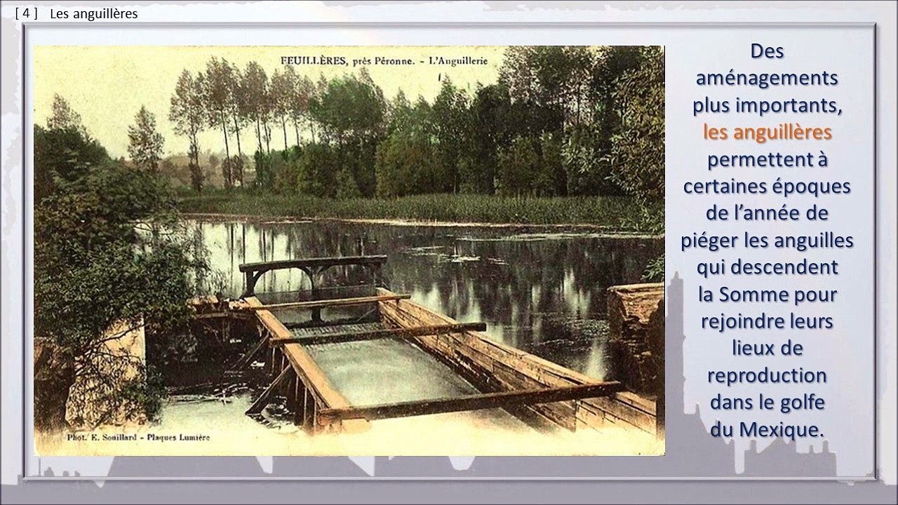 108 - PERONNE, BALADE DANS LE TEMPS,  -- Etangs & hardines, la chasse, la pêche avant 1914.