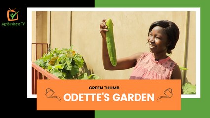 Green Thumb: At odette's place, a passionate gardener