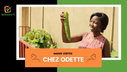 Mains vertes :  Chez Odette, une passionnée de jardinage