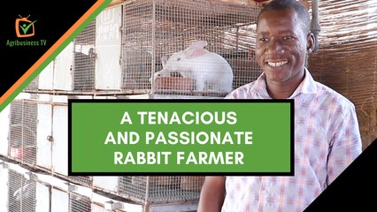 Burkina Faso: A tenacious and passionate rabbit farmer