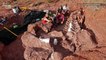 Massive Fossils Found in Argentina Could Belong to New Largest Dino on Record