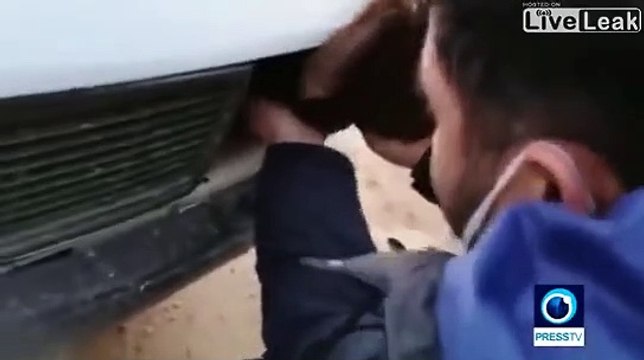 Regardez où ce contrebandier à caché ses moutons