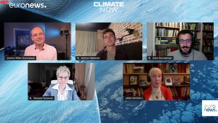 Did the coronavirus pandemic alter the course of climate change?