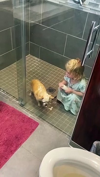 Une fillette rase la tête de son chien