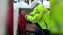 Polisten donmak üzere olan yavru köpeklere şefkat eli