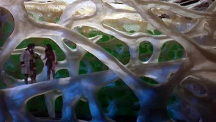 Doctor Who S15E07 The Invisible Enemy Pt 3 - (1963)