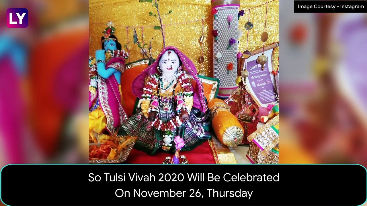 Tulsi Vivah 2020: Date, Significance, Shubh Muhurat Of The Ceremonial Tulsi Marriage Rituals Celebrated Post Diwali