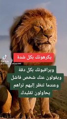 يكرهونك بشدة .حالات واتس اب