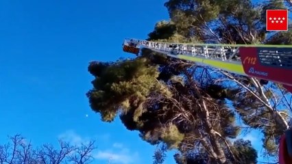 Emergencias 112 gestiona 761 expedientes por el temporal de viento