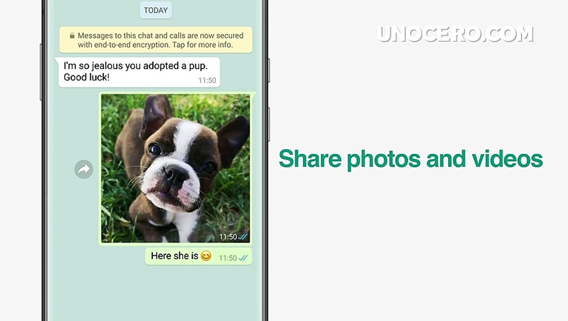 WhatsApp y Telegram: principales diferencias