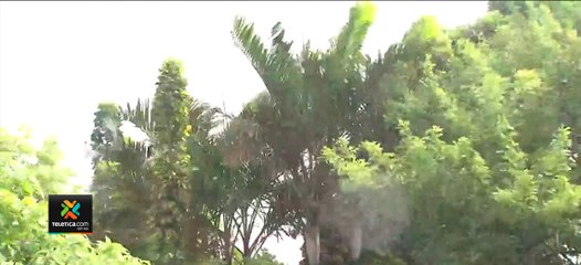 tn7-Fuertes-vientos-se-seguirán-percibiendo-durante-este-fin-de-semana-220121