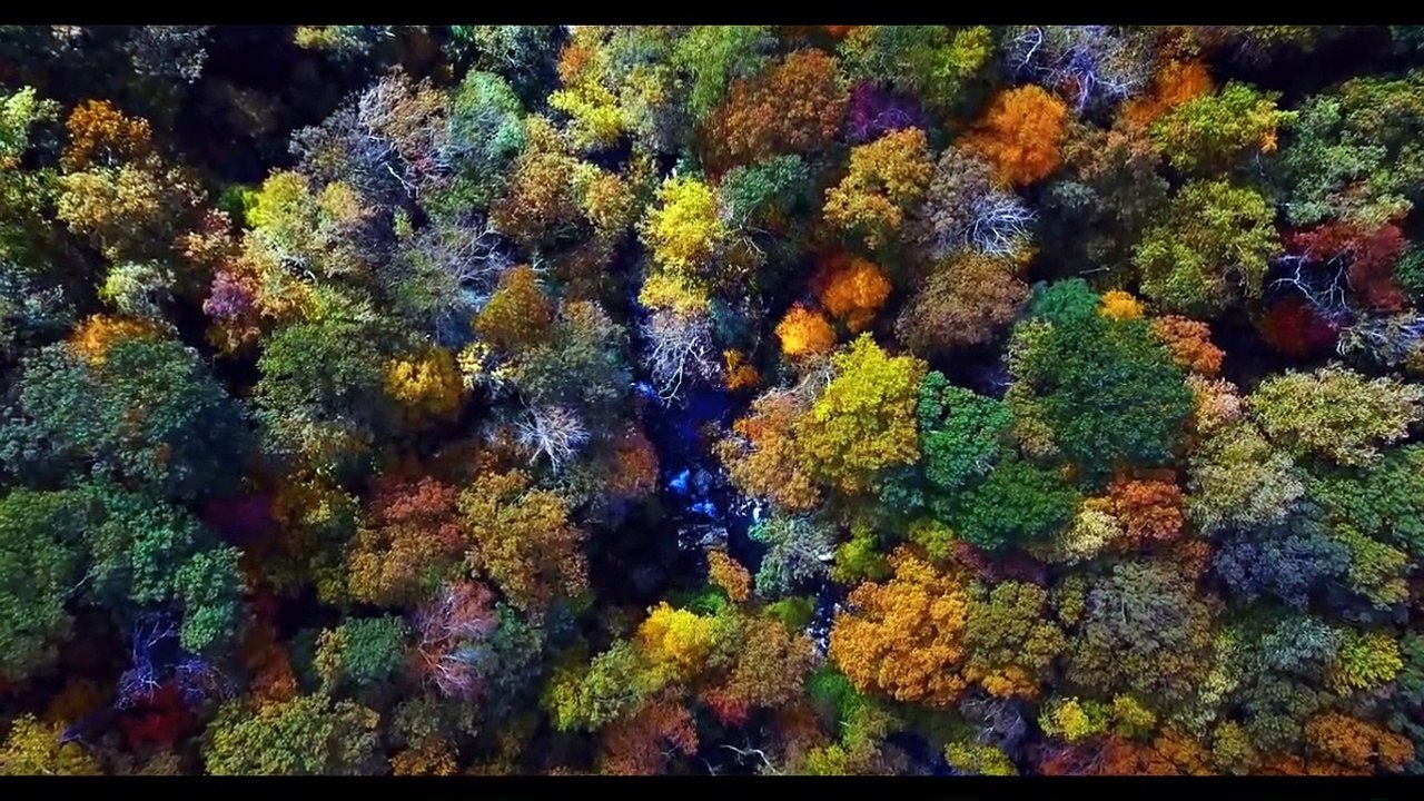 UNITED VEGAN FUTURE WILL REVERSE CLIMATE CHANGE - SHIFT AS GREENEST AND SUSTAINABLE IN THE UNIVERSE