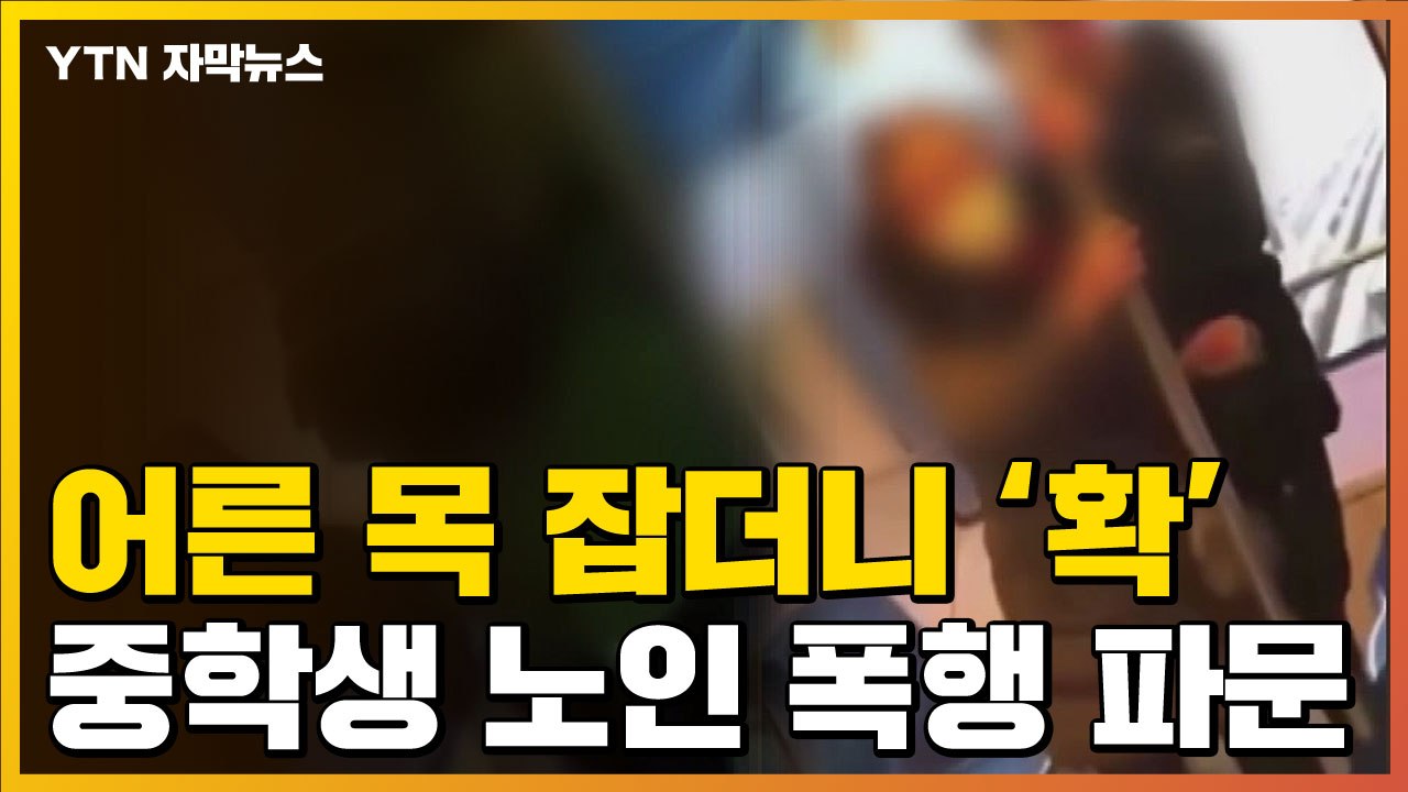 [자막뉴스] "쳐봐! XXX야"...의정부 중학생 노인 폭행 영상 / YTN