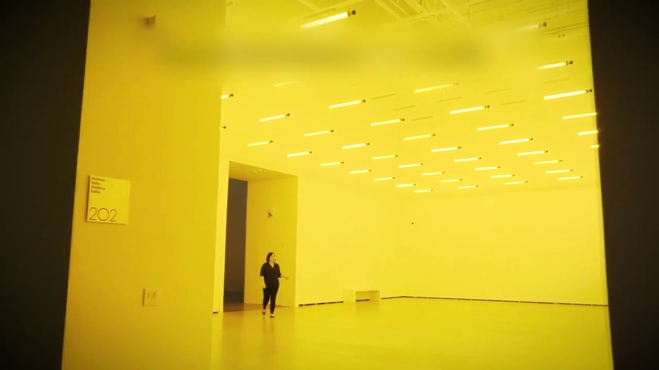 Juglar urbano. Miradas a través de la lente | Agenda cultural