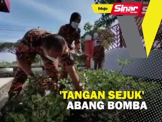 ‘Tangan sejuk’ abang bomba