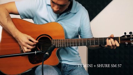 Melo Audio TS Mini - Demo & Review