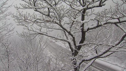 [날씨] 오늘 밤사이 남부 비·영동 폭설, 내일도 포근 / YTN