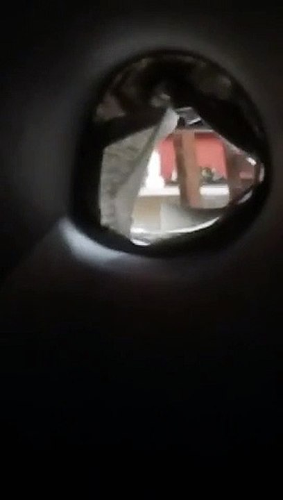 Telescope fun!