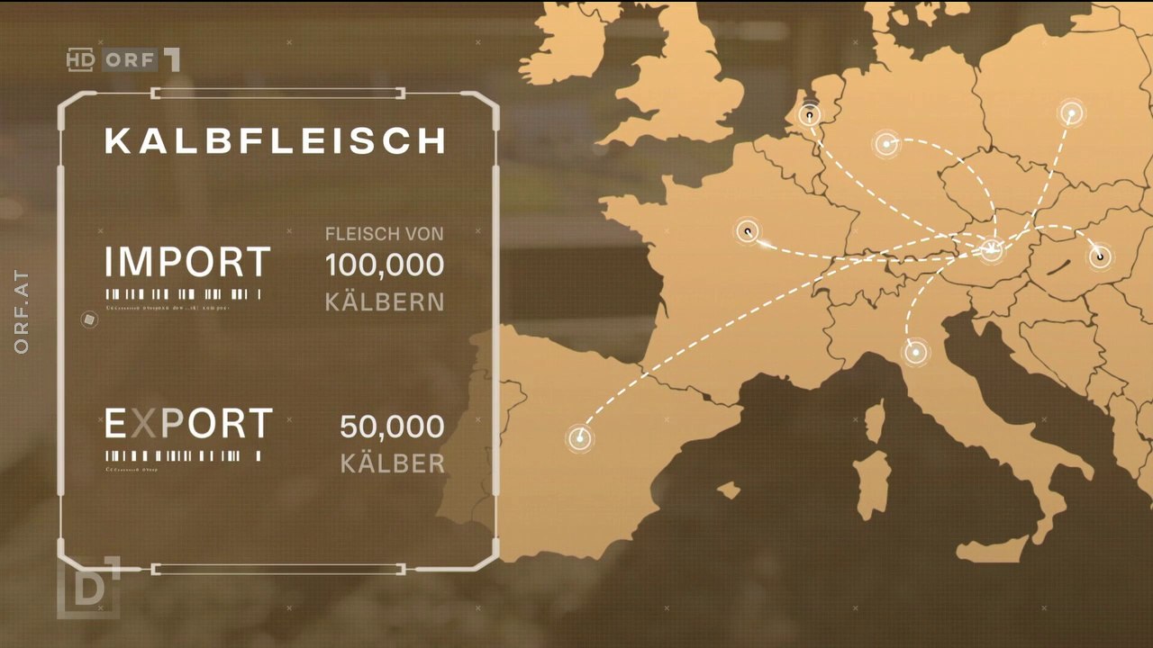 Tiertransporte - Billiges Fleisch um jeden Preis